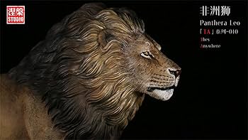 Amazon | 涅槃 ライオン 動物 リアル フィギュア PVC プラモデル